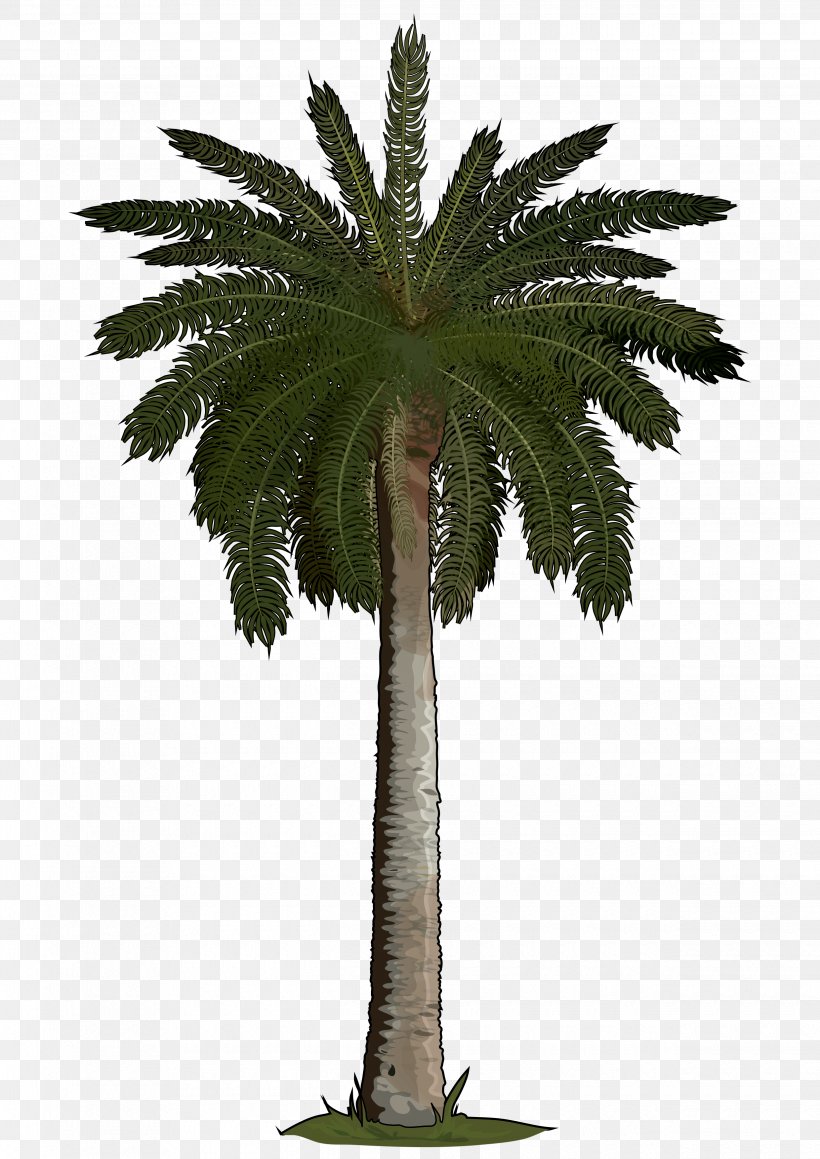 Arecaceae Sago Palm Tree Areca Palm Phoenix Roebelenii, PNG, 2480x3508px, Arecaceae, Albizia Julibrissin, Areca Palm, Arecales, Artificial Flower Download Free