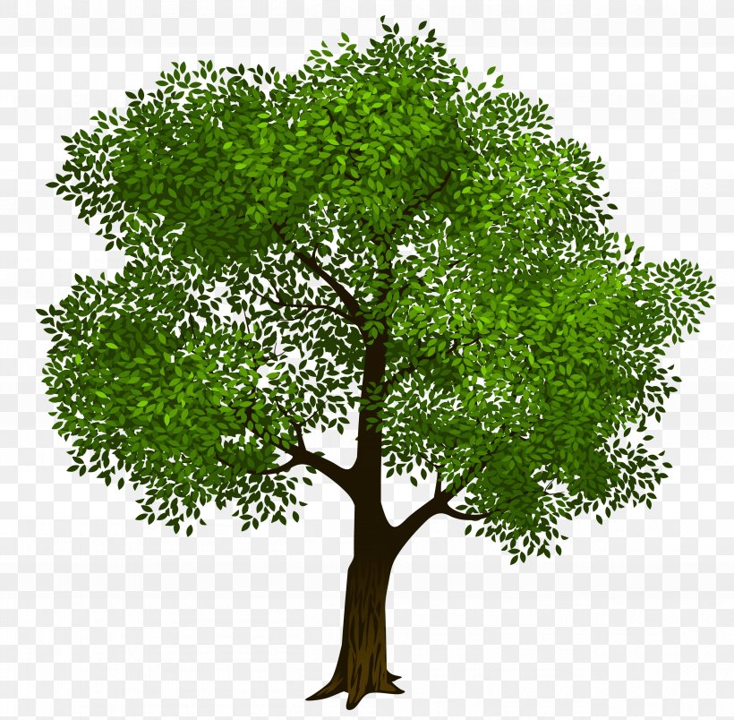 Clip Art Openclipart Tree Illustration, PNG, 5016x4919px, Tree, Branch, Grass, Leaf, Plant Download Free