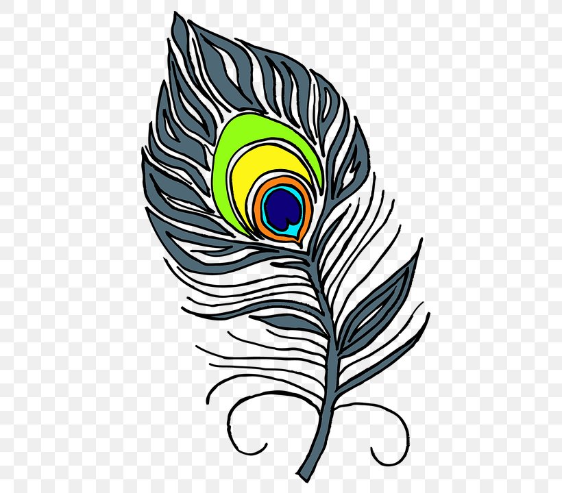 Feather Bird Peafowl Clip Art, PNG, 516x720px, Feather, Artwork, Asiatic Peafowl, Bird, Fashion Accessory Download Free