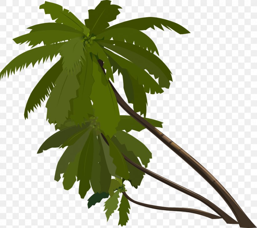 Animation Tree Arecaceae Clip Art, PNG, 999x888px, Arecaceae, Animation, Branch, Flowering Plant, Hemp Download Free