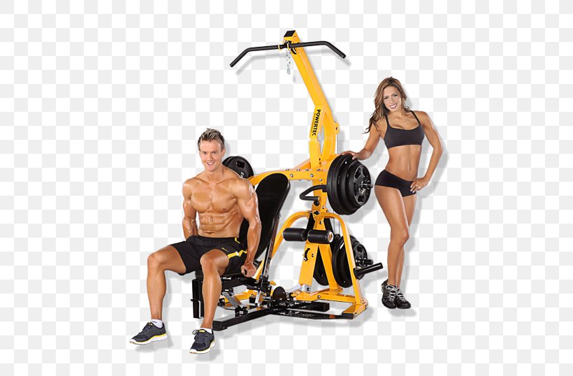 Exercise Equipment Exercise Machine Weight Loss Physical Fitness, PNG, 538x538px, Exercise Equipment, Aerobic Exercise, Arm, Elliptical Trainer, Exercise Download Free