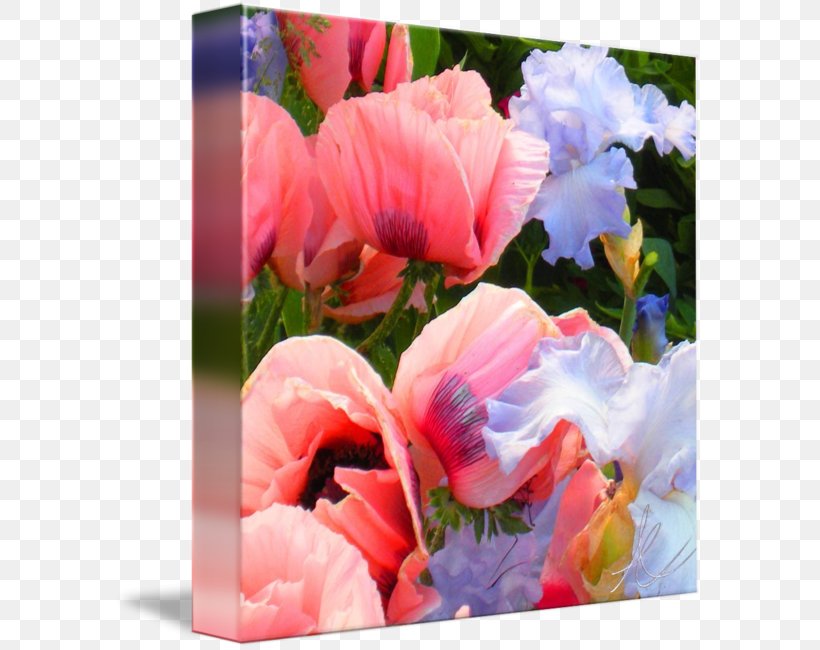 Floristry Pink M Tulip Cut Flowers Petal, PNG, 589x650px, Floristry, Annual Plant, Cut Flowers, Flower, Flowering Plant Download Free