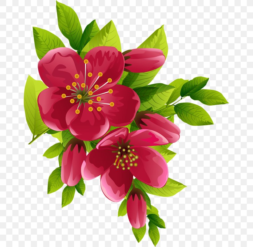 Flower Clip Art, PNG, 666x800px, Flower, Alstroemeriaceae, Annual Plant, Blossom, Cut Flowers Download Free