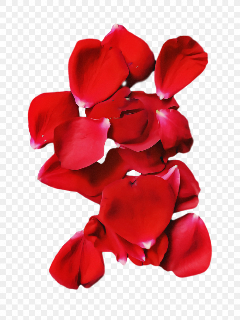 Garden Roses, PNG, 1080x1440px, Garden Roses, Cut Flowers, Floral Design, Flower, Flower Bouquet Download Free