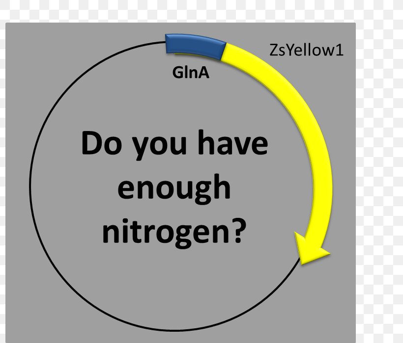 General Escobedo Party Neoplasm Enterade Oncology, PNG, 797x699px, Party, Area, Birthday, Brand, Diagram Download Free