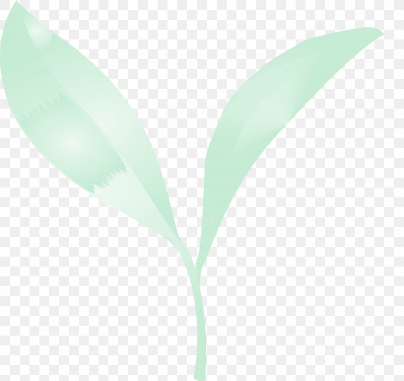 Leaf Green Plant Lily Of The Valley Flower, PNG, 3000x2825px, Tea Leaves, Eucalyptus, Flower, Grass, Green Download Free