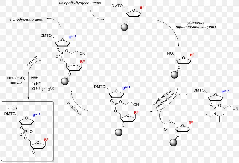 Oligonucleotide Synthesis Chemical Synthesis Chemical Reaction Chemistry, PNG, 2583x1767px, Watercolor, Cartoon, Flower, Frame, Heart Download Free