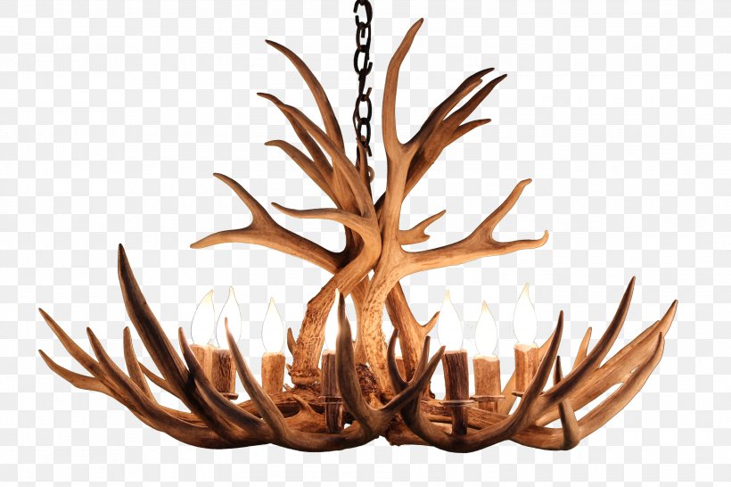 White-tailed Deer Antler Elk Light Fixture, PNG, 3000x2000px, Whitetailed Deer, Antler, Branch, Chandelier, Deer Download Free