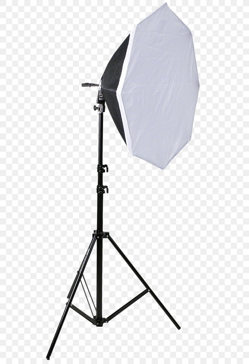 Incandescent Light Bulb Softbox Photography Fotolampe, PNG, 594x1200px, Light, Camera, Camera Flashes, Dauerlicht, Daylight Download Free