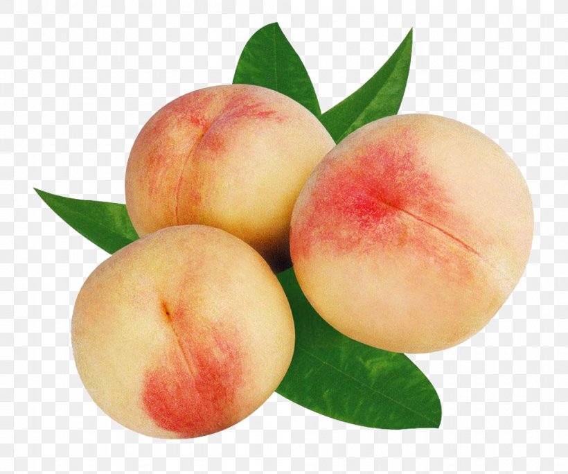 Peach Fruit Food Auglis Nutrition, PNG, 1001x836px, Peach, Apple, Auglis, Diet Food, Drink Download Free