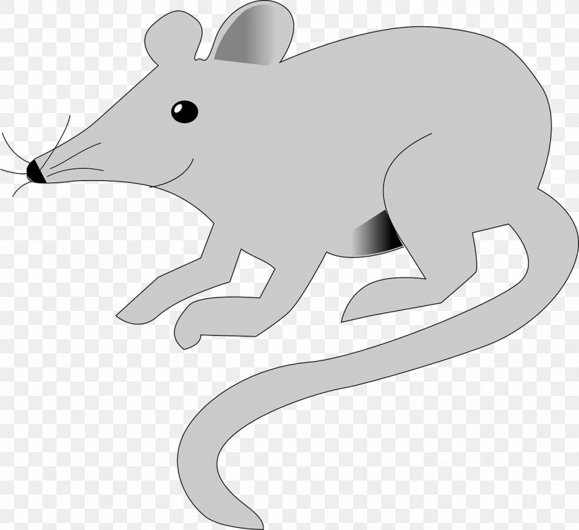 Rodent Mouse Insect Polynesian Rat Animal, PNG, 1280x1171px, Rodent, Animal, Black And White, Carnivoran, Cleaning Download Free