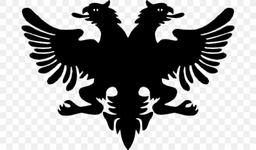 Flag Of Albania Coat Of Arms Of Albania National Flag, PNG, 682x481px, Albania, Beak, Bird, Bird Of Prey, Black And White Download Free