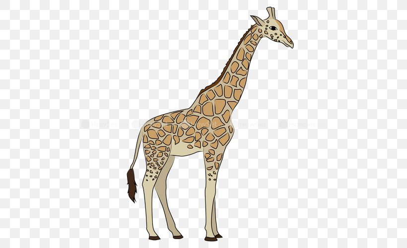 Giraffe, PNG, 500x500px, Giraffe, Animal, Animal Figure, Decal, Drawing Download Free