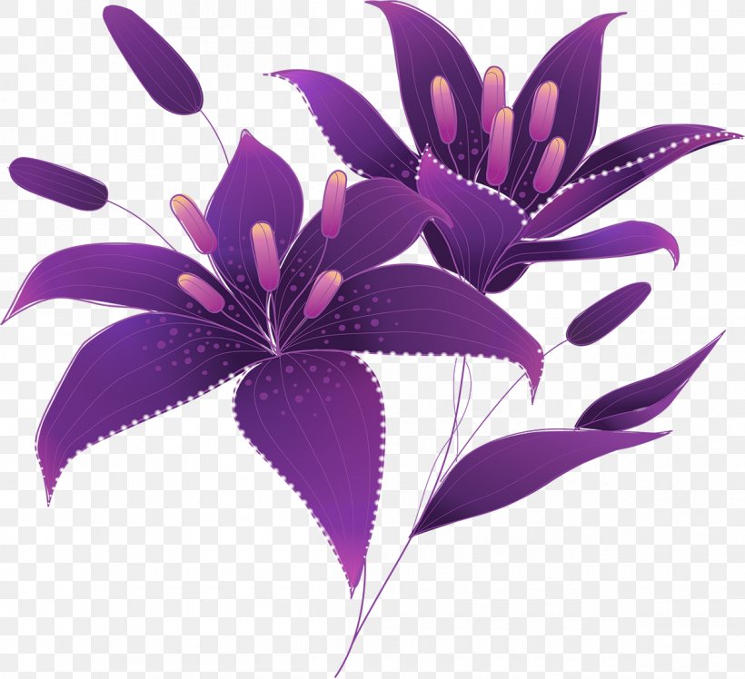 Arum-lily Purple Drawing Lilium Clip Art, PNG, 1200x1095px, Arumlily, Calla Lily, Callalily, Color, Drawing Download Free