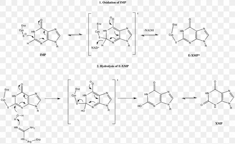 IMP Dehydrogenase Inosinic Acid Inosine /m/02csf, PNG, 1280x785px, Imp Dehydrogenase, Area, Auto Part, Black And White, Dehydrogenase Download Free