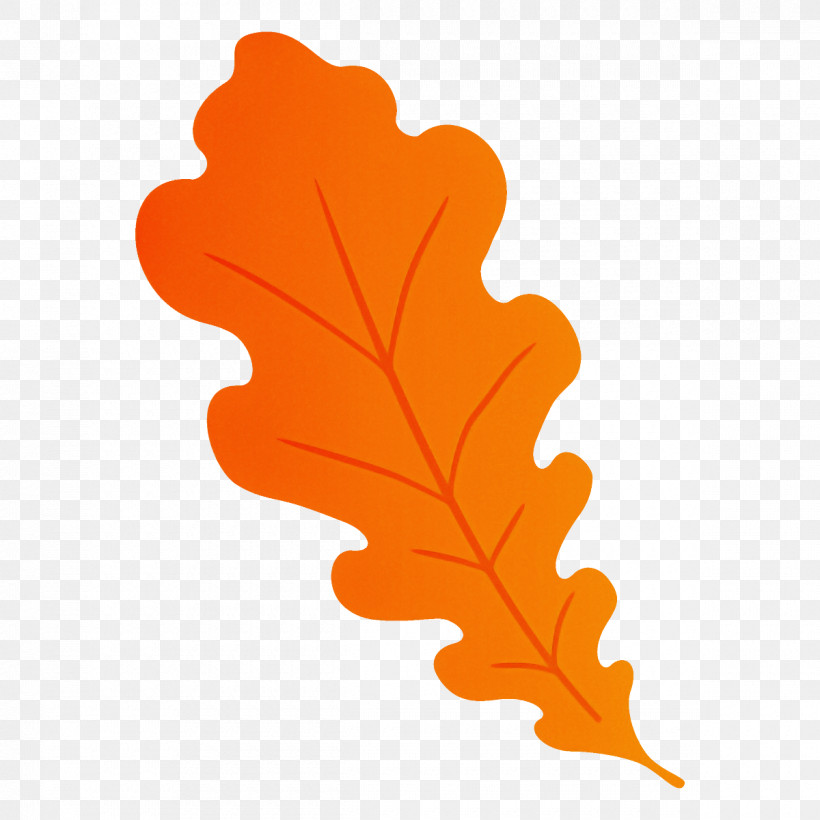 Oak Leaf Autumn Leaf Fall Leaf, PNG, 1200x1200px, Oak Leaf, Autumn Leaf, Fall Leaf, Leaf, Maple Leaf Download Free