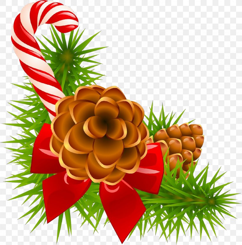 Oregon Pine Clip Art Pine Plant Conifer, PNG, 2958x3000px, Cartoon, Christmas, Conifer, Conifer Cone, Fir Download Free