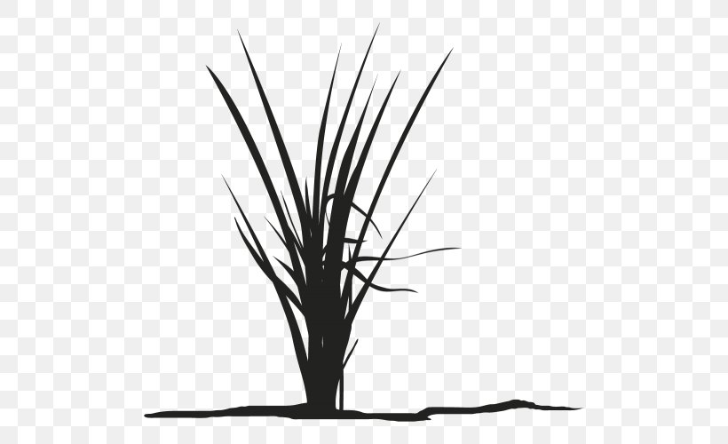 Twig Grasses Plant Stem Leaf Silhouette, PNG, 500x500px, Twig, Black, Black And White, Black M, Branch Download Free