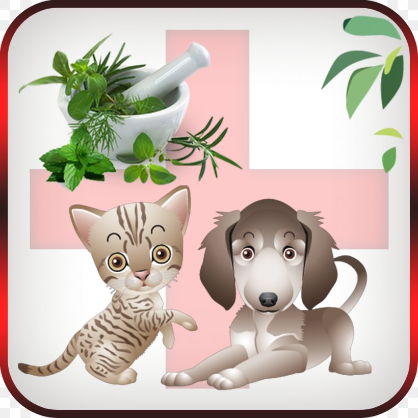 Whiskers Dog Cat Heal With Essential Oil: Nature's Medicine Cabinet Mammal, PNG, 1024x1024px, Whiskers, Amyotrophic Lateral Sclerosis, Canidae, Carnivoran, Carpet Download Free