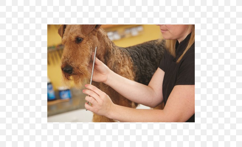 Airedale Terrier Lakeland Terrier Welsh Terrier Comb Brush, PNG, 500x500px, Airedale Terrier, Brush, Carnivoran, Cat, Comb Download Free