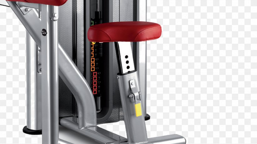 Biceps Curl Bodybuilding Overhead Press Bench, PNG, 1920x1080px, Biceps Curl, Automotive Exterior, Bench, Biceps, Bodybuilding Download Free