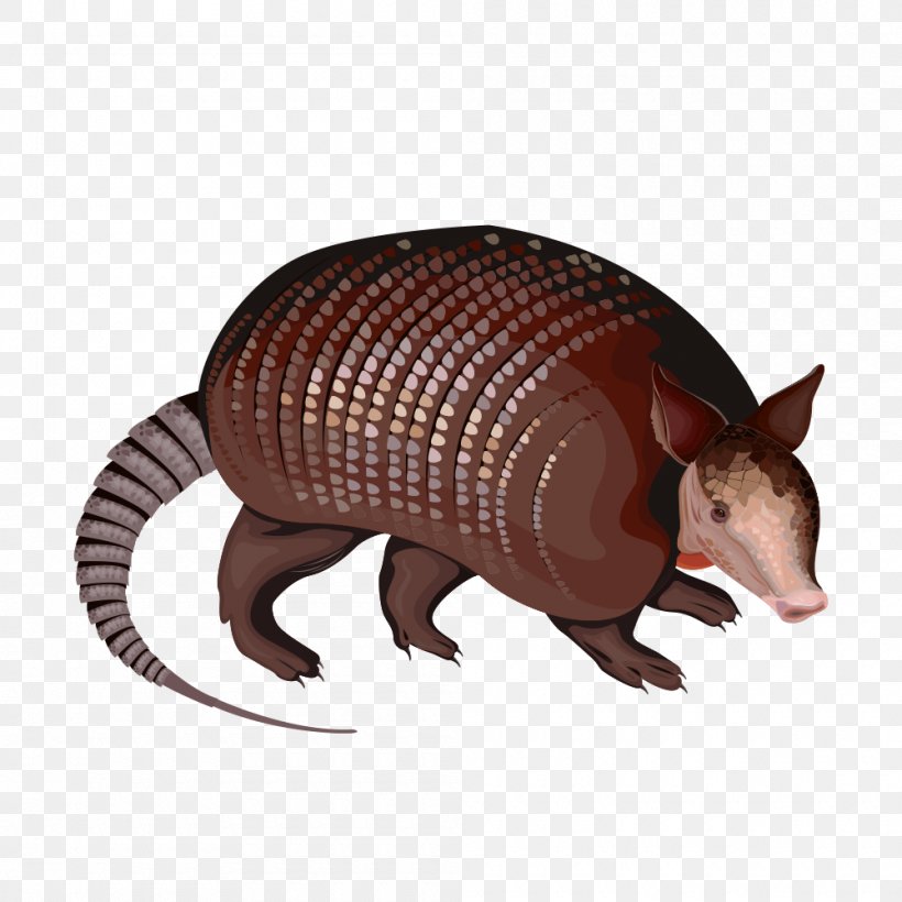 Computer Mouse Comics, PNG, 1000x1000px, Computer Mouse, Animation, Armadillo, Cartoon, Cingulata Download Free