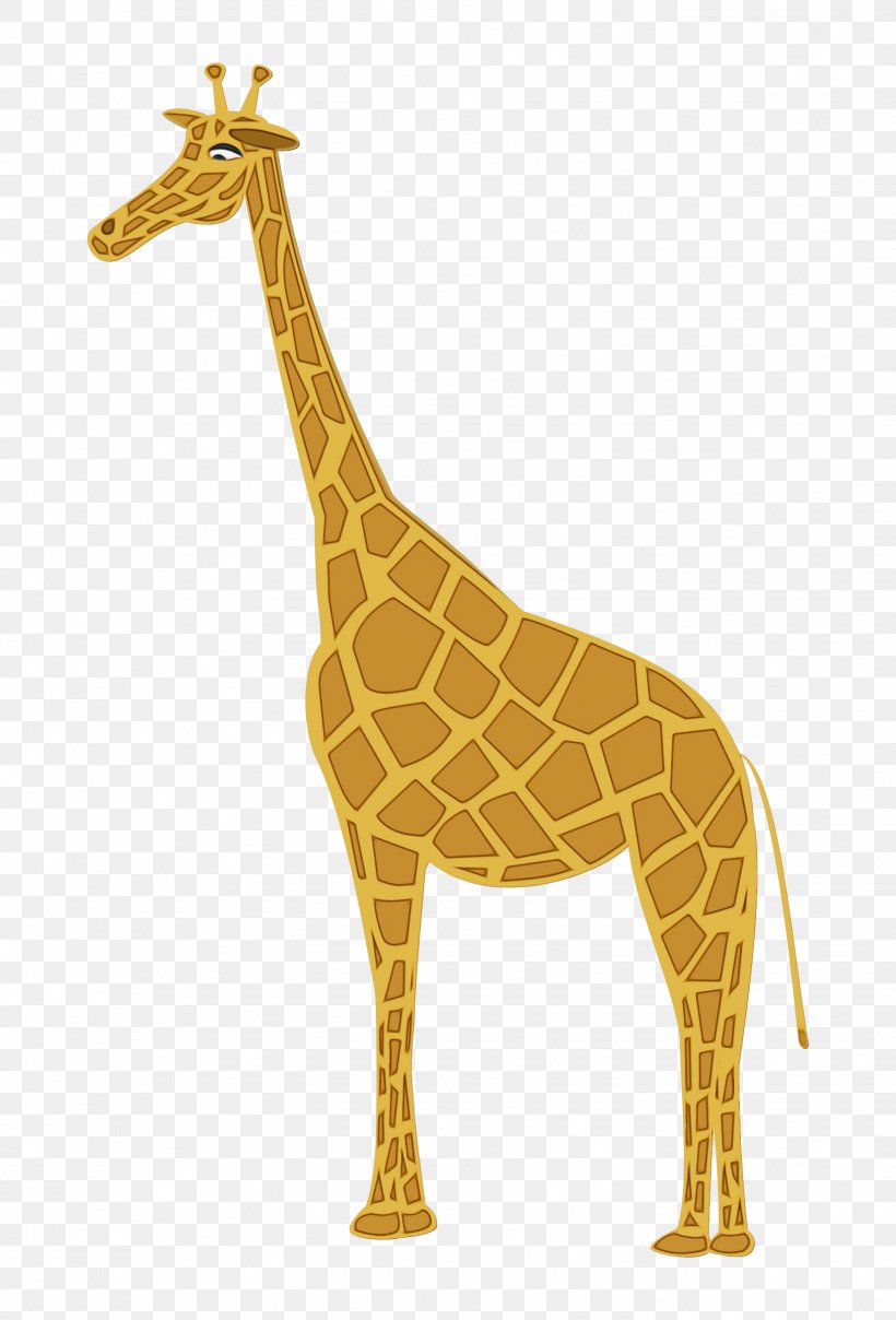 Giraffe Giraffidae Terrestrial Animal Wildlife Animal Figure, PNG, 1628x2400px, Watercolor, Animal Figure, Fawn, Giraffe, Giraffidae Download Free