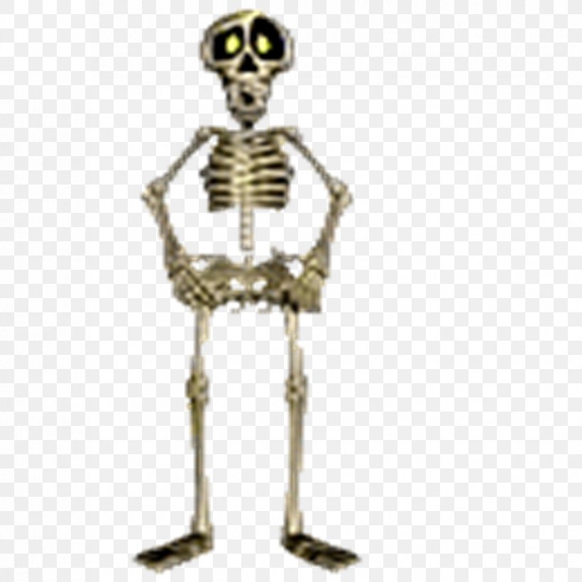 Human Skeleton Animaatio Bone, PNG, 826x827px, Skeleton, Anatomy, Animaatio, Bone, Drawing Download Free