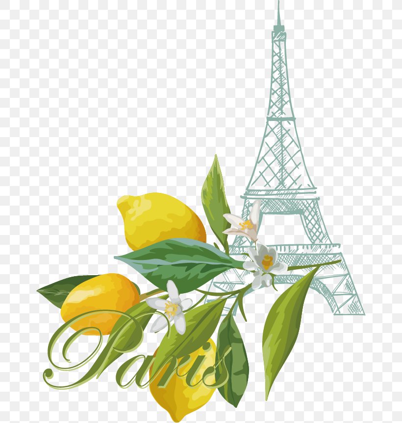Lemon Euclidean Vector, PNG, 672x864px, Lemon, Flora, Floral Design, Flower, Food Download Free