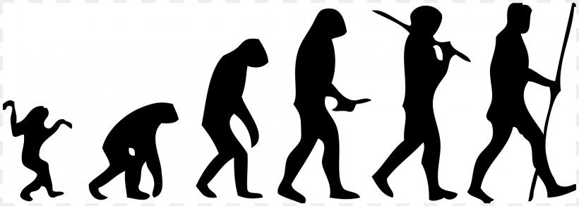 March Of Progress Homo Sapiens Ape Human Evolution, PNG, 2000x713px, Watercolor, Cartoon, Flower, Frame, Heart Download Free