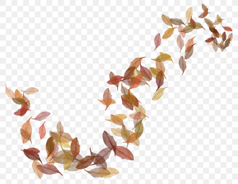 Clip Art Autumn Image Leaf, PNG, 800x636px, Autumn, Autumn Leaf Color, Blog, Drawing, Flower Download Free
