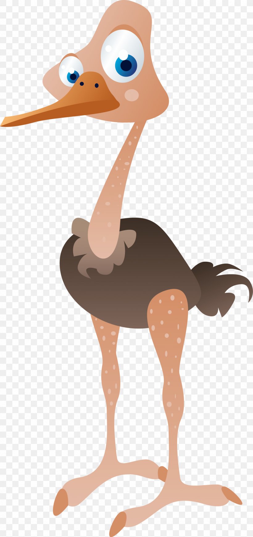 Common Ostrich Bird Illustration, PNG, 1342x2852px, Common Ostrich, Animal, Beak, Bird, Cartoon Download Free