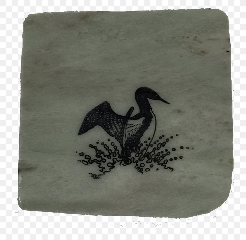 Made In Canada Gifts Loon Coasters Madoc, Ontario, PNG, 800x800px, Coasters, Beak, Canada, Canadian Dollar, Fauna Download Free