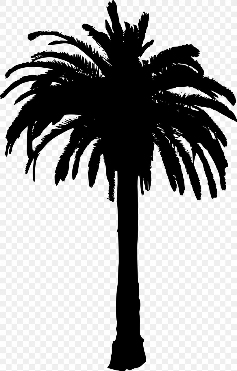 Arecaceae Silhouette Tree Clip Art, PNG, 1278x2000px, Arecaceae, Arecales, Black And White, Borassus Flabellifer, Branch Download Free