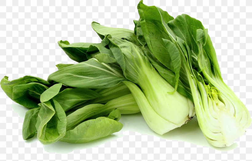 Chinese Cabbage Vegetable Choy Sum Food, PNG, 872x558px, Chinese Cabbage, Bok Choy, Cabbage, Cauliflower, Chard Download Free