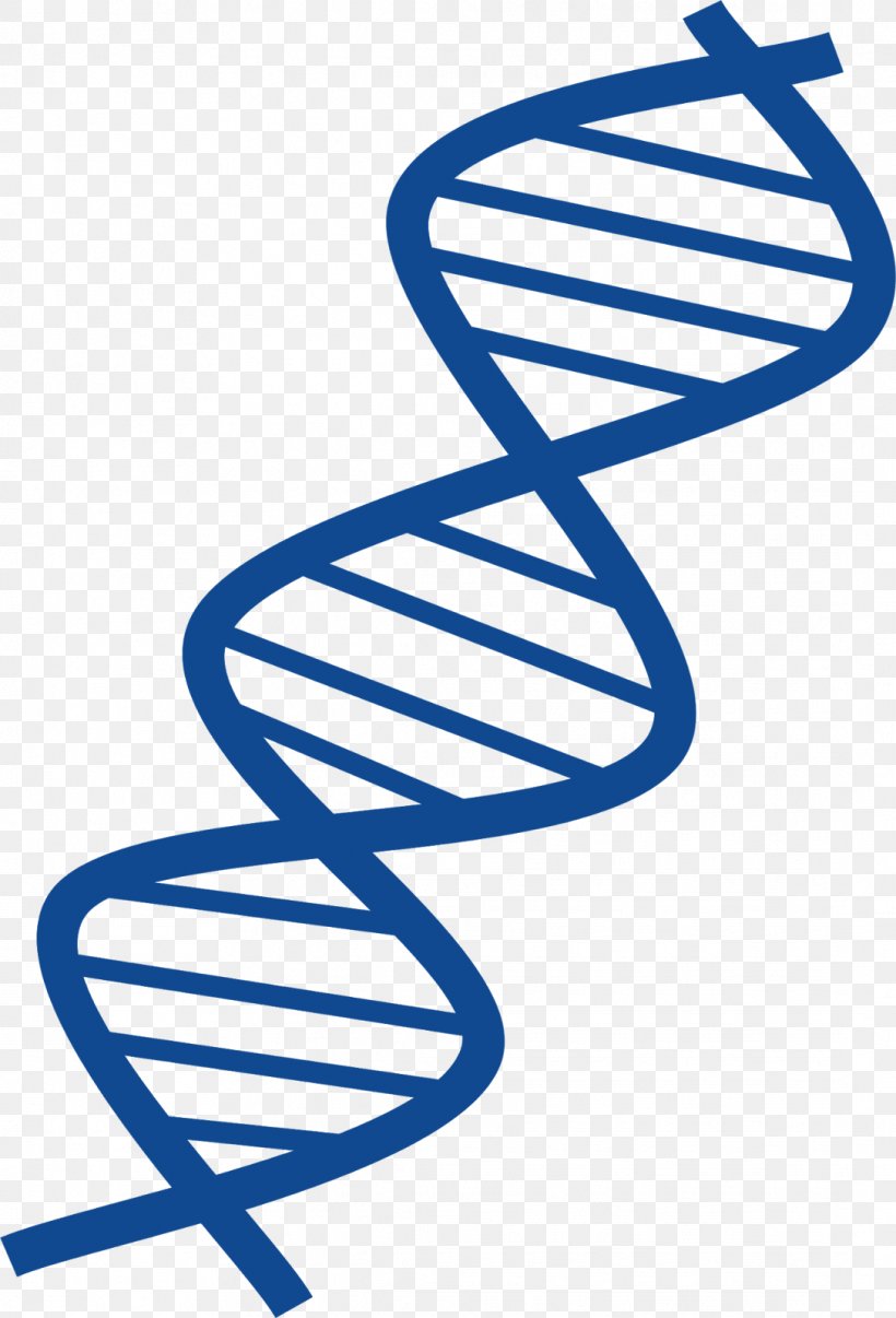 DNA Nucleic Acid Double Helix Clip Art, PNG, 1087x1600px, Dna, Area, Black And White, Dna Replication, Electric Blue Download Free