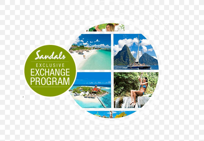 Leisure Sandals Resorts Vacation Water, PNG, 636x565px, Leisure, Beach, Brand, Ecosystem, Organism Download Free