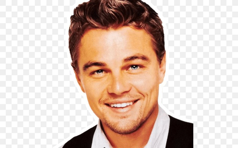 Leonardo DiCaprio Titanic Image Actor Photograph, PNG, 512x512px, Leonardo Dicaprio, Actor, Brown Hair, Cheek, Chin Download Free