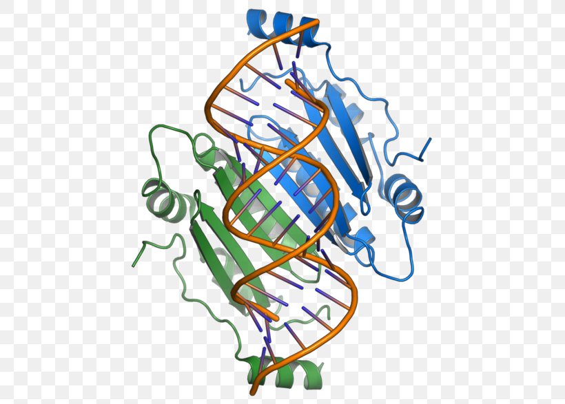 RNA Silencing Suppressor P19 Overlapping Gene Positive-sense Single-stranded RNA Virus, PNG, 440x587px, Rna Silencing Suppressor P19, Area, Art, Capsid, Doublestranded Rna Viruses Download Free