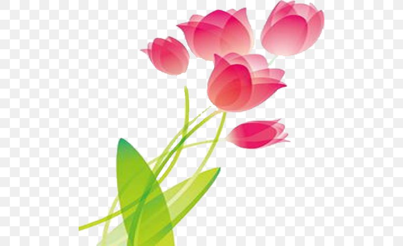 Tulip Pink Wallpaper, PNG, 500x500px, Tulip, Cut Flowers, Floral Design, Floristry, Flower Download Free