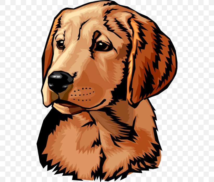 Golden Retriever Labrador Retriever Telarah Dog Training Inc. Dachshund, PNG, 540x700px, Golden Retriever, Canidae, Carnivore, Carnivores, Dachshund Download Free
