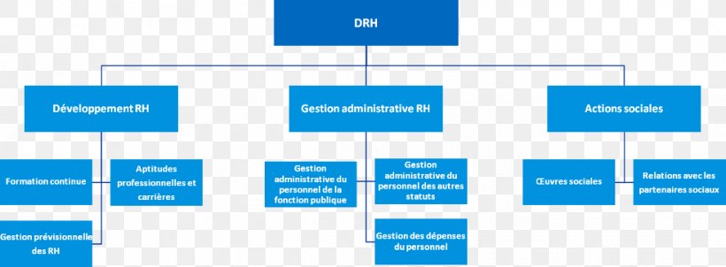 Human Resource Management Organizational Structure Kelk, PNG, 982x362px, Human Resource Management, Area, Brand, Diagram, District Download Free