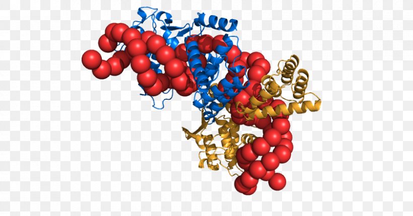 Protein Research University Of California, San Francisco Alt Attribute DNA, PNG, 840x440px, Protein, Alt Attribute, Biophysics, California, Dna Download Free
