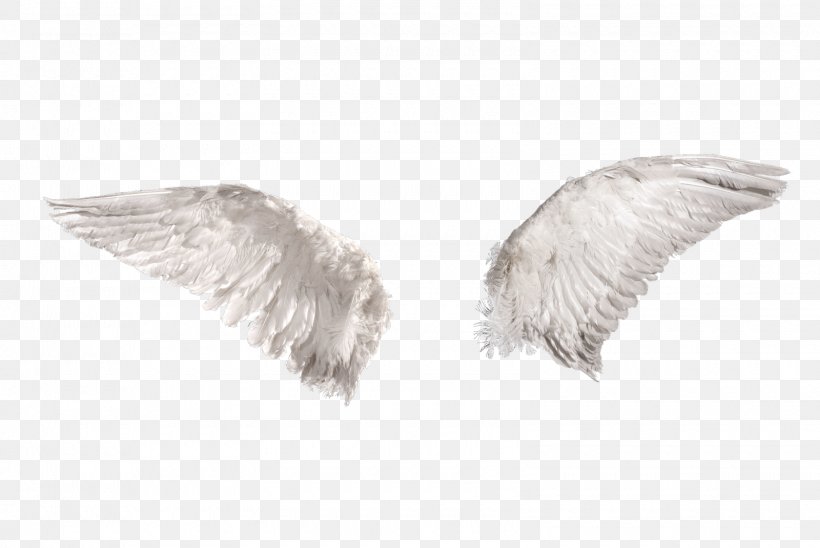 Drawing Stock Photography, PNG, 1600x1071px, Drawing, Angel, Art, Earrings, Feather Download Free
