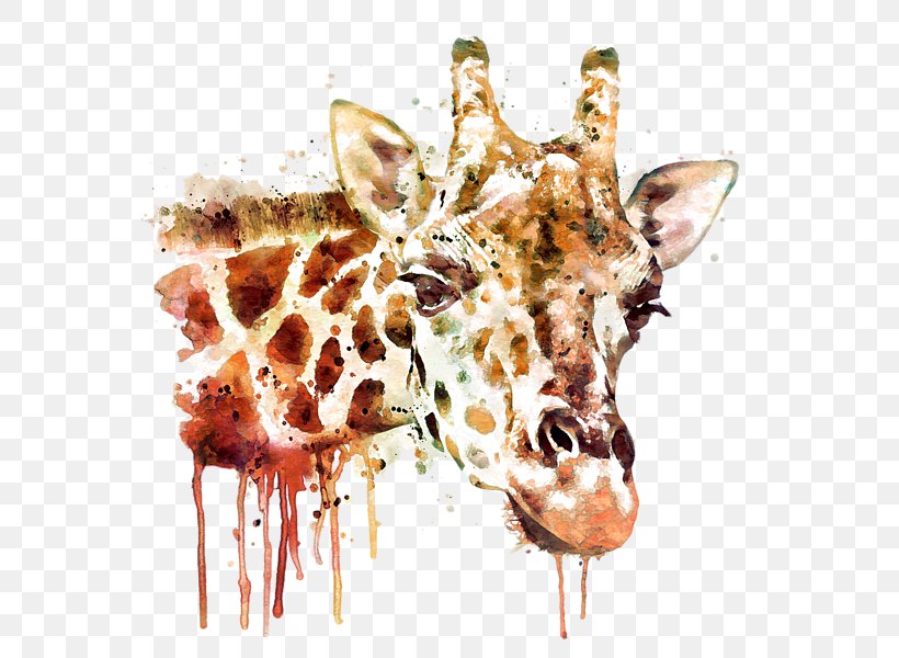 Giraffe Painting Canvas Art Drawing, PNG, 600x600px, Giraffe, Art, Artist, Canvas, Canvas Print Download Free