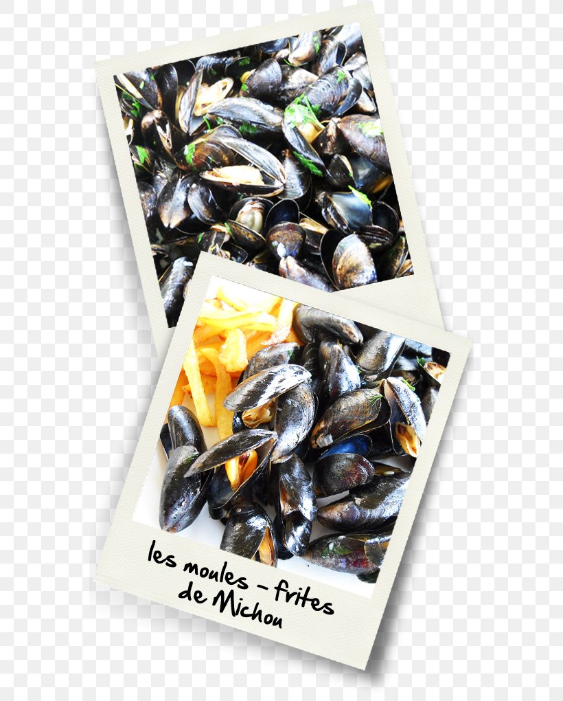 Mussel Moules-frites Dried Fruit Paella Recipe, PNG, 560x1020px, Mussel, Animal Source Foods, Clams Oysters Mussels And Scallops, Cuisine, Dish Download Free