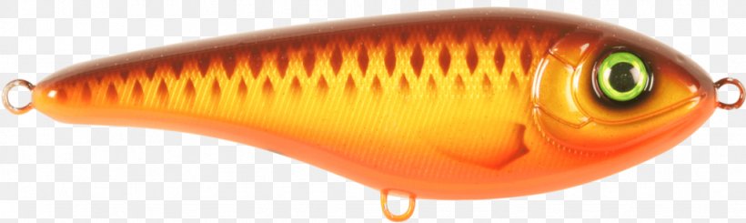 Northern Pike Spin Fishing Recreational Fishing Fishing Baits & Lures, PNG, 1024x306px, Northern Pike, Biology, Centimeter, Fish, Fishing Download Free