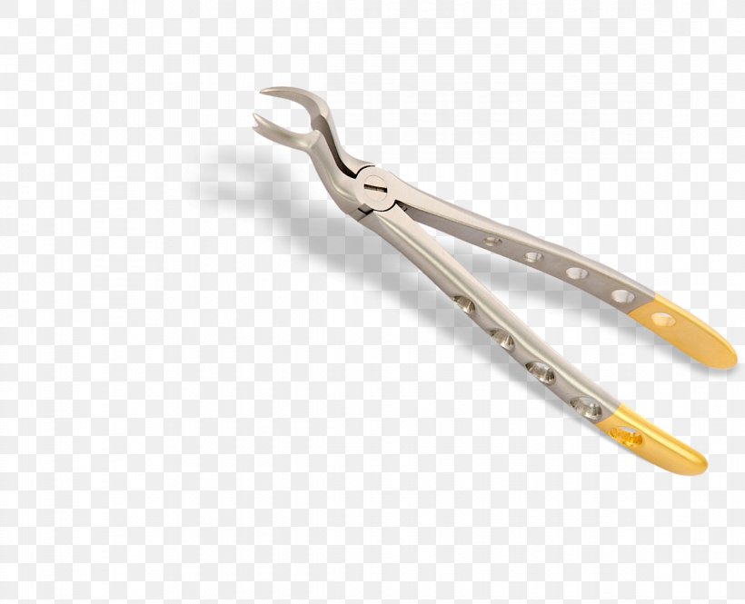 Dental Instruments Surgical Instrument Dentistry Dental Surgery, PNG, 1170x950px, Dental Instruments, Dental Surgery, Dentistry, Diagonal Pliers, Forceps Download Free
