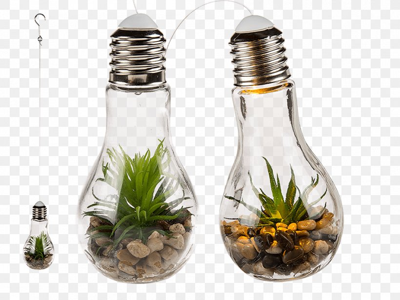 Incandescent Light Bulb LED Lamp Succulent Plant, PNG, 945x709px, Light, Bottle, Chandelier, Furniture, Glass Download Free