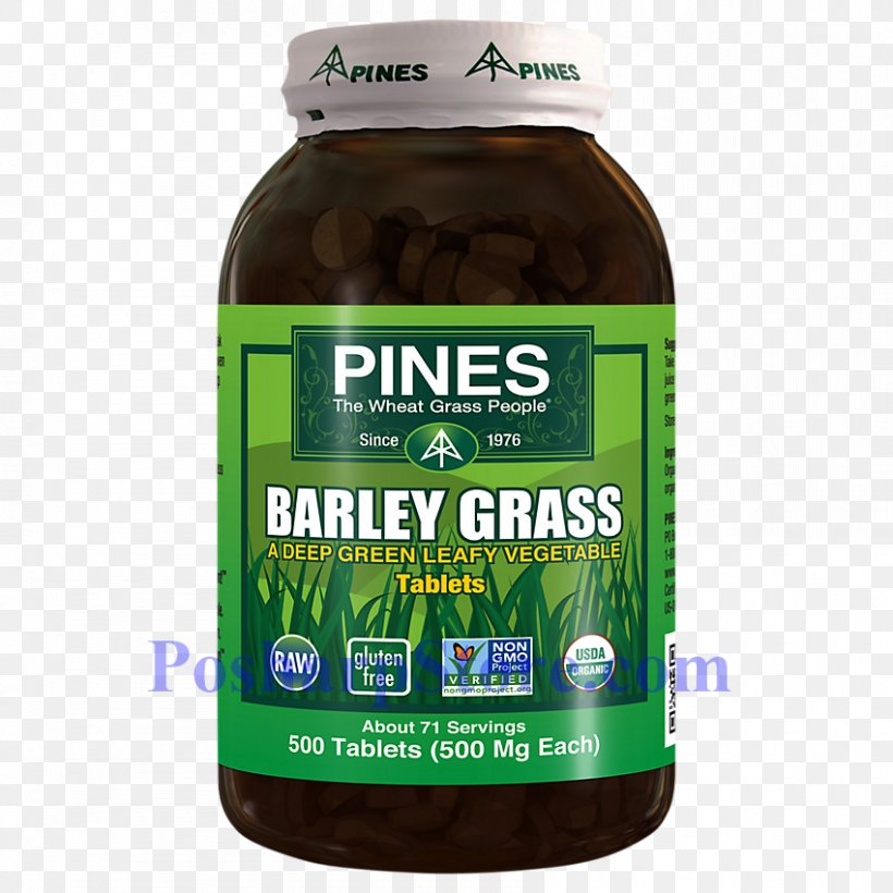 Organic Food Wheatgrass Powder Barley, PNG, 850x850px, Organic Food, Barley, Dietary Supplement, Food, Glutenfree Diet Download Free